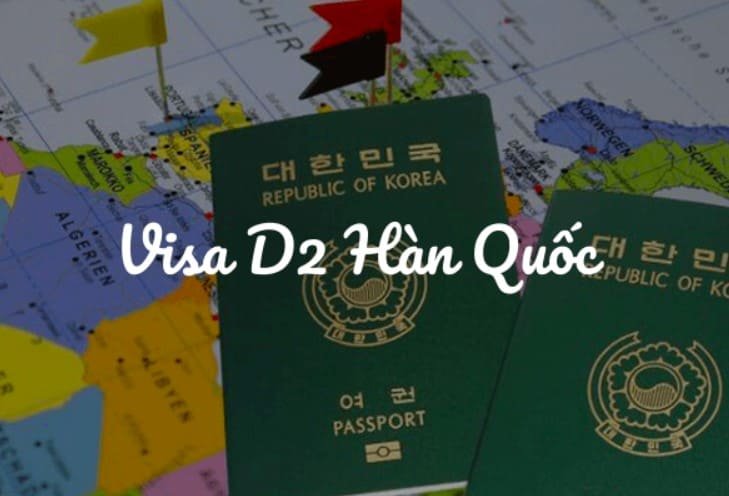 Visa D2 là gì