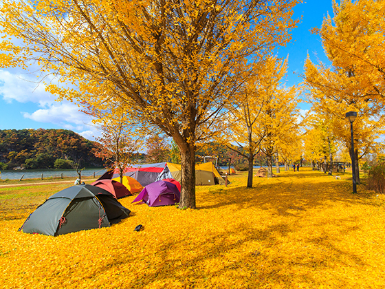 가을은 캠핑의 계절! 캠핑 초보자를 위한 필수 준비물부터 캠핑 스팟까지 Hs애드 공식 블로그 Hs Adzine