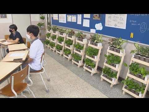 녹색식물 자라는 친환경교실…실내 공기정화는 '덤' / 연합뉴스TV (YonhapnewsTV)