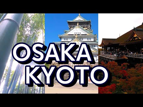 3년만에 일본 패키지 여행Vlog | 일본무비자재개 | 고베 | 오사카 | 교토 | 오사카 인기 관광 코스  | 관광지설명  | 랜선여행