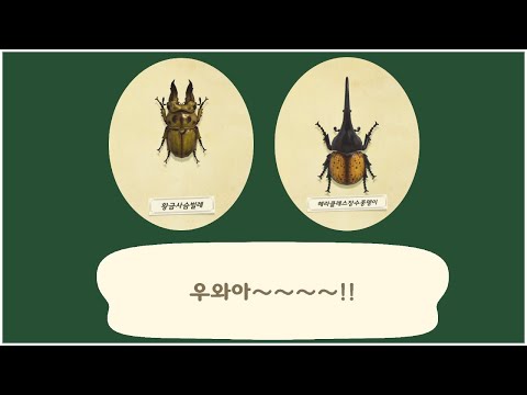 [모동숲] 굉장히 희귀한 여름의 뉴페이스 사슴벌레,풍뎅이들 잡는 팁!