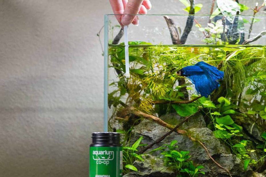 How (And How Often) To Test Aquarium Water For Healthy Fish And Plants –  Aquarium Co-Op