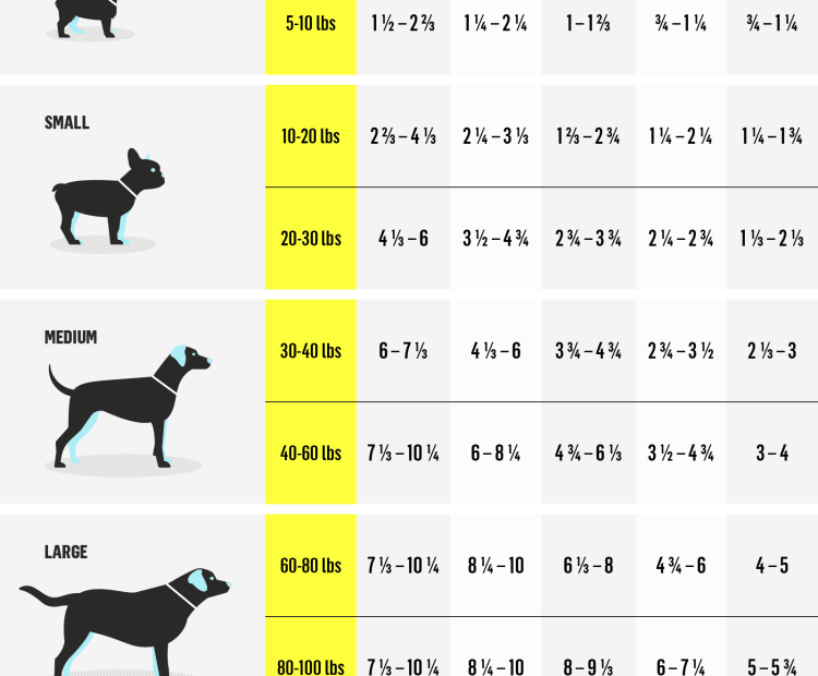 Finding The Right Diet How Much Should You Feed A 85 Lb Lab?