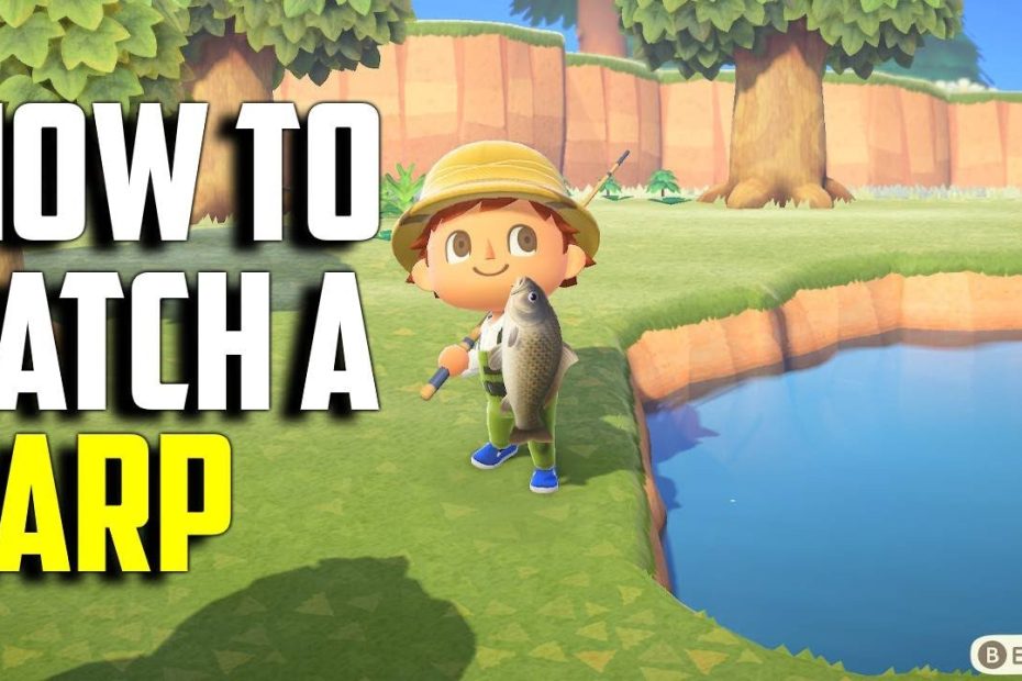 How To Catch A Carp | Carp Acnh | Carp Animal Crossing New Horizons | Acnh  Carp | Acnh Fish - Youtube