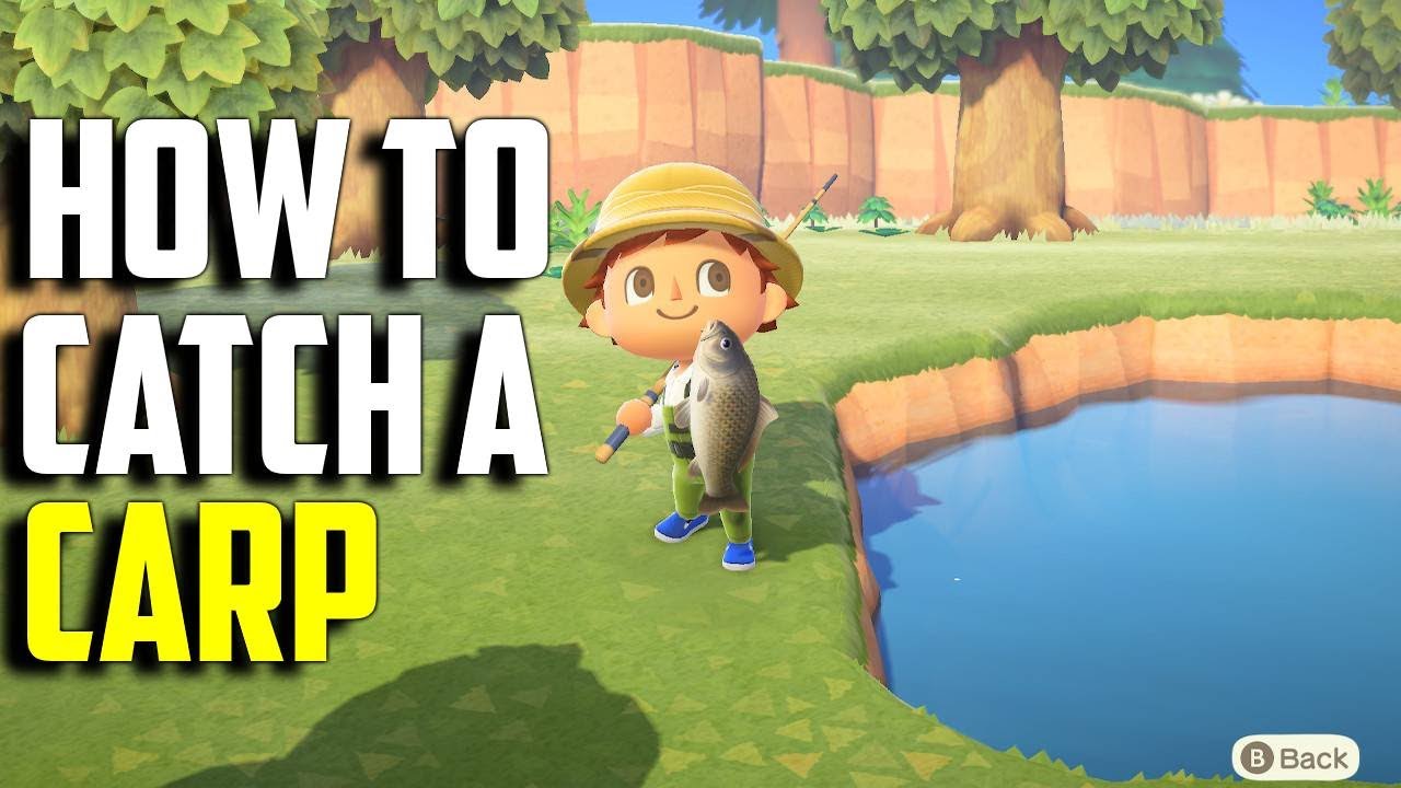 How To Catch A Carp | Carp Acnh | Carp Animal Crossing New Horizons | Acnh  Carp | Acnh Fish - Youtube